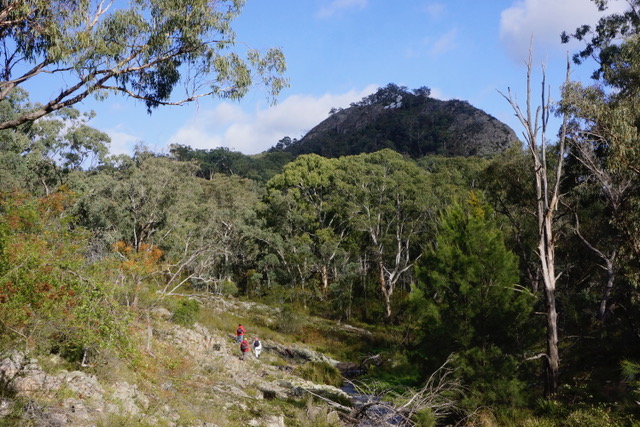 Mt Blaxland with a red person