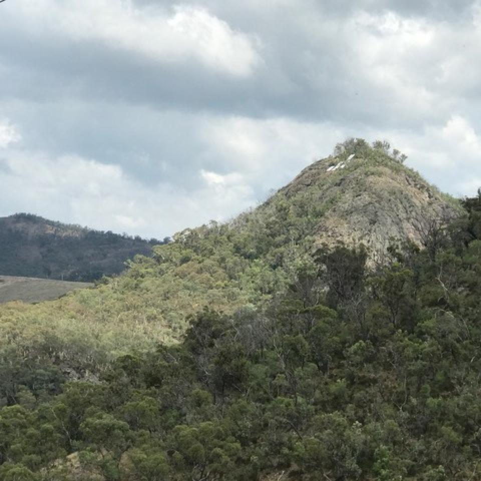 Mt Blaxland